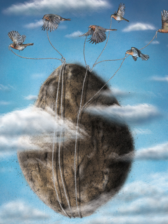 Narjes Mohammadi Iluustration